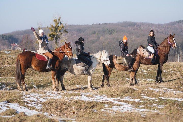 Five hours of extreme horse riding trip around Lviv city for experienced riders