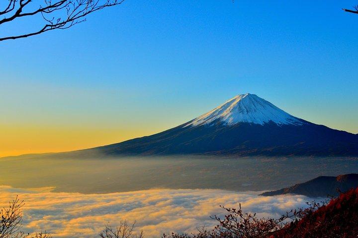 Explore Mt. Fuji, Hakone and Lake Ashi in a Day by Private Car