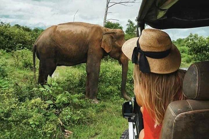 Udawalawe National Park Safari With Traveling Mirissa/ Weligama To Ella