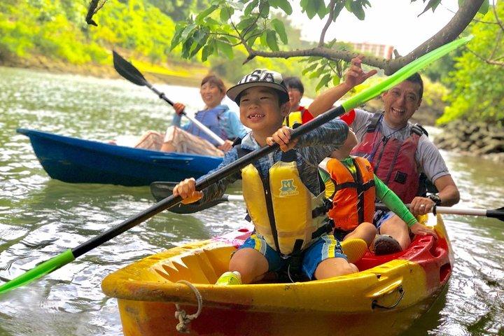 Mangrove kayaking to enjoy nature in Okinawa