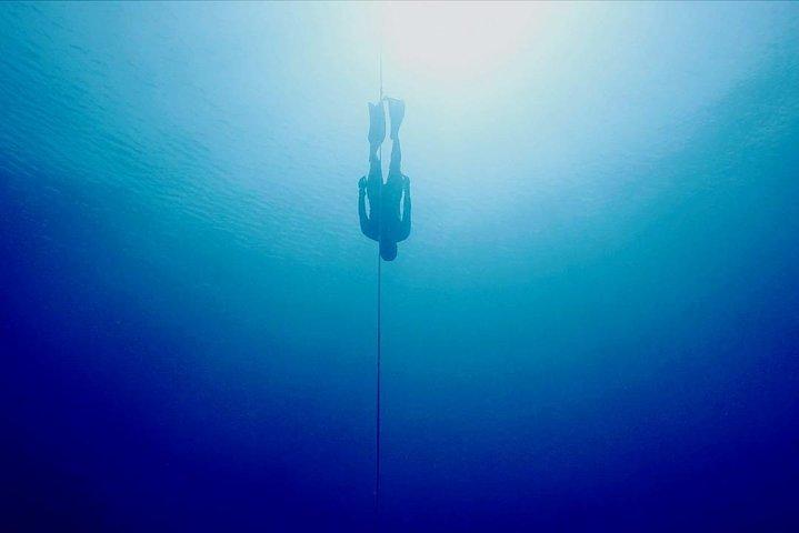 Try Freediving in Pemuteran, Aida 1 with theory, pool and ocean session 1 day