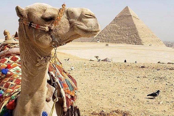 Private Day Tour to Cairo from Suez Canal Cruise Port & Hotels