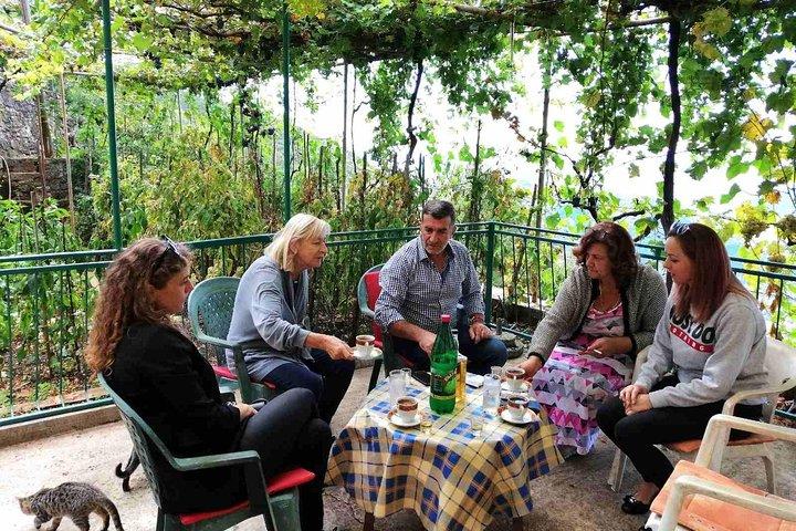 Unique lunch experience with locals in high hills above Budva!