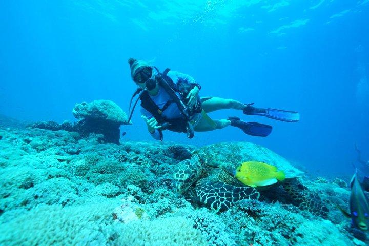 Try Diving in Nusa Lembongan - Penida. For beginners (with 2 ocean dives)