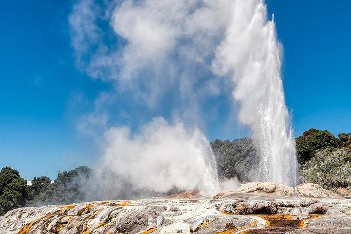 Rotorua Highlights Small Group Tour Including Te Puia from Auckland