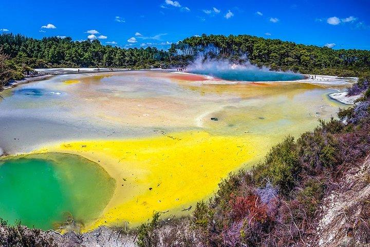 Rotorua Highlights Small Group Tour with Optional Extra Activities from Auckland