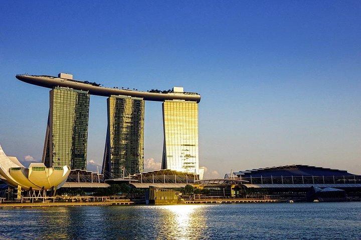 Singapore: 8 Hours - Private Car or Minibus Rental with Driver