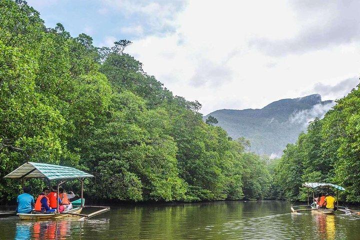 3-in-1 Adventure: Underground River, Zipline ride, and Mangrove Forest Tour