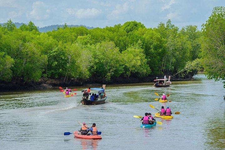 Half Day Mangrove Forest Kayaking Tour From Koh Lanta