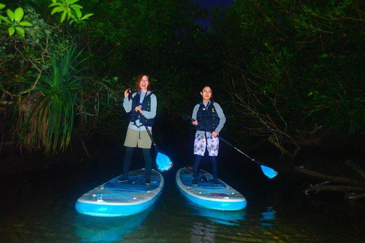 [Okinawa Iriomote] Night SUP/Canoe Tour in Iriomote Island