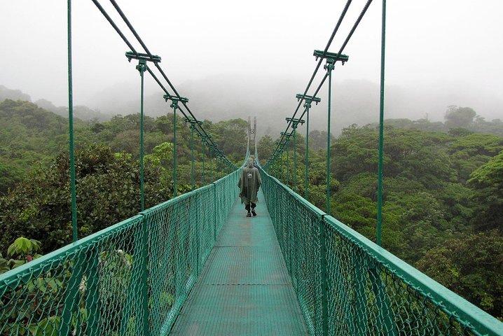 Rain Forest Monteverde