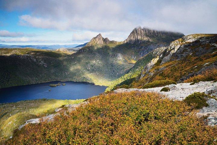 Cradle Mountain Day Tour Private Charter Service