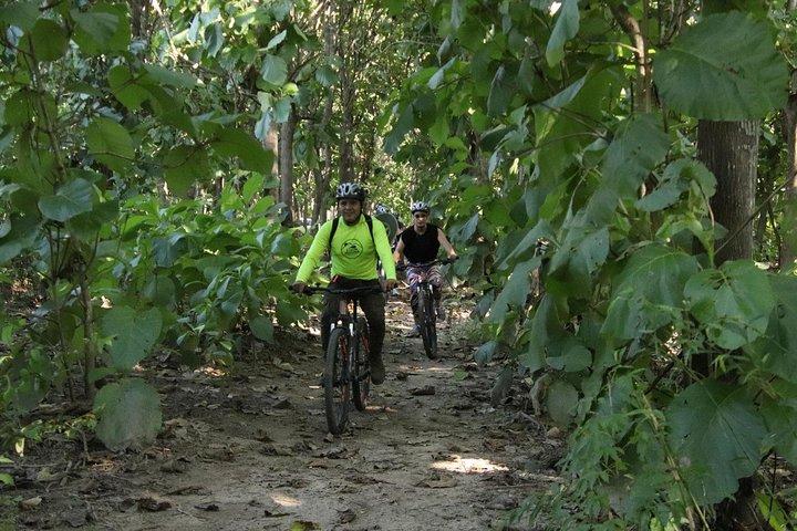 Jungle Bike Tour