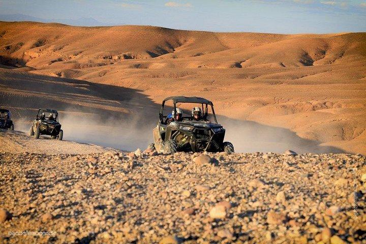 Buggy Ride in the Desert