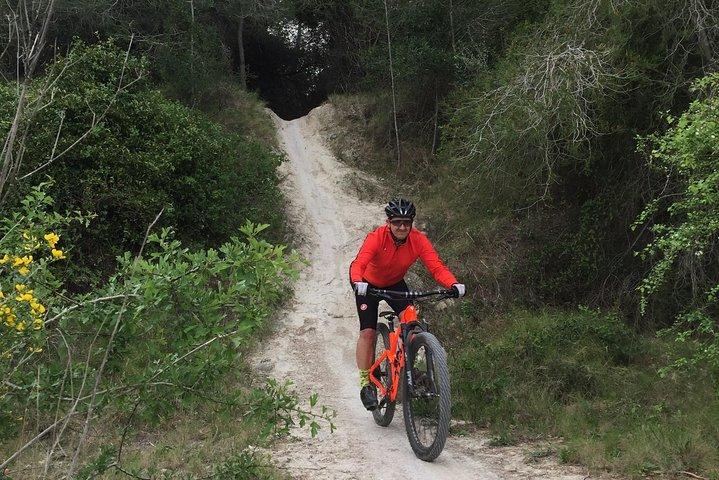 Guided mountain bike route - "Pata Negra" Tour