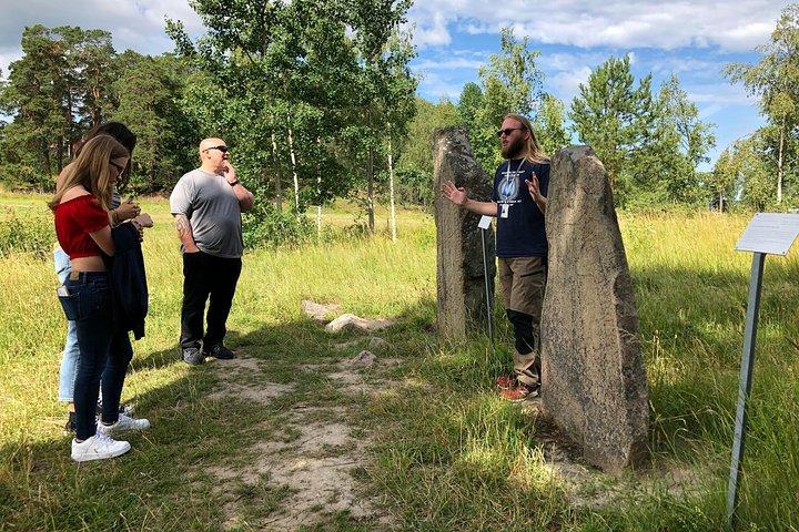 Private Half Day Tour: Viking History Trip from Stockholm Including Sigtuna