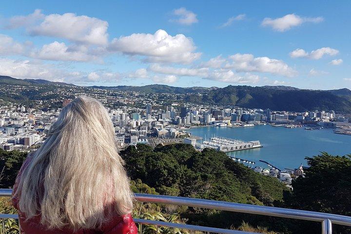 Private Wellington Full Day Sightseeing Tour