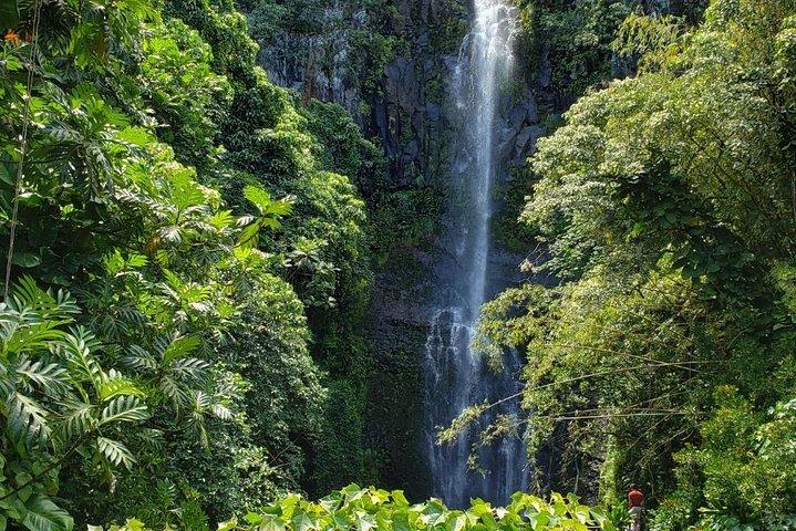Road to Hana Adventure in Maui- Private - Just for Your Group