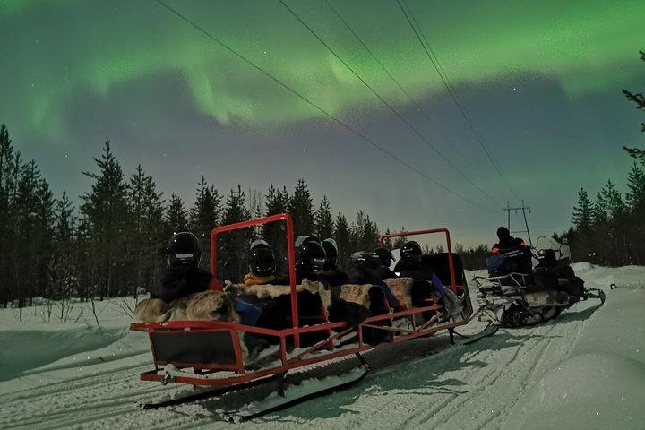 Northern Lights Sledge Ride