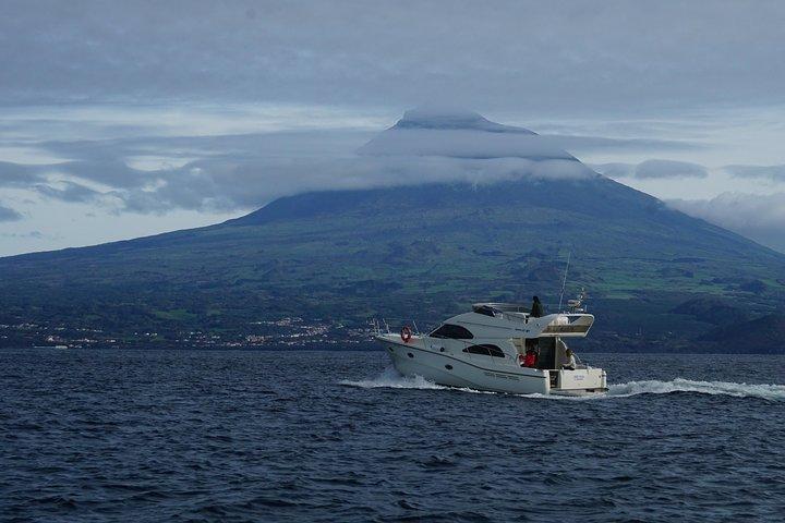 Rodman motor yacht charter in the Azores in Faial