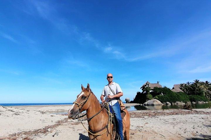 Los Naranjos Beach Horseback Riding Tayrona Park.