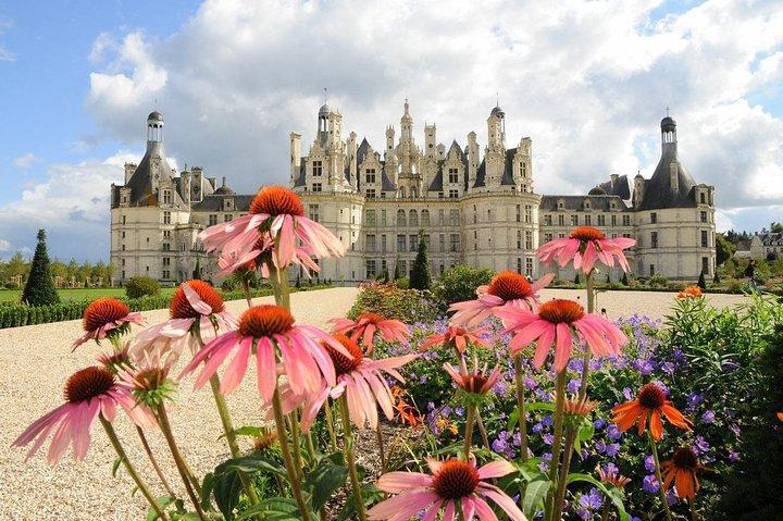 Day Tour of Chateaux of Chenonceau, Chambord & Caves Ambacia from Tours/Amboise