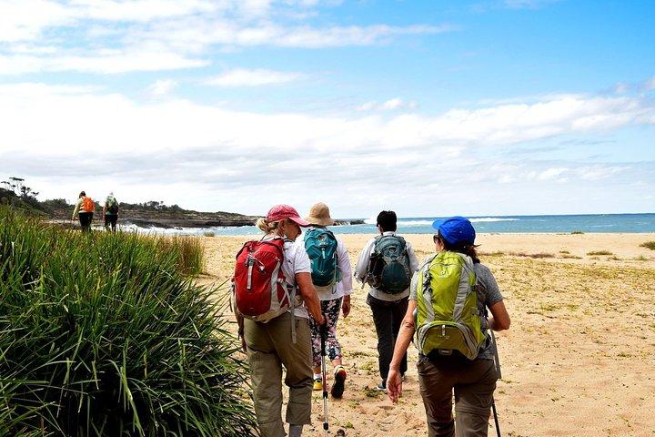 3 Day Murramarang Coast Journey from Canberra - Guided Hike with Villa Accom