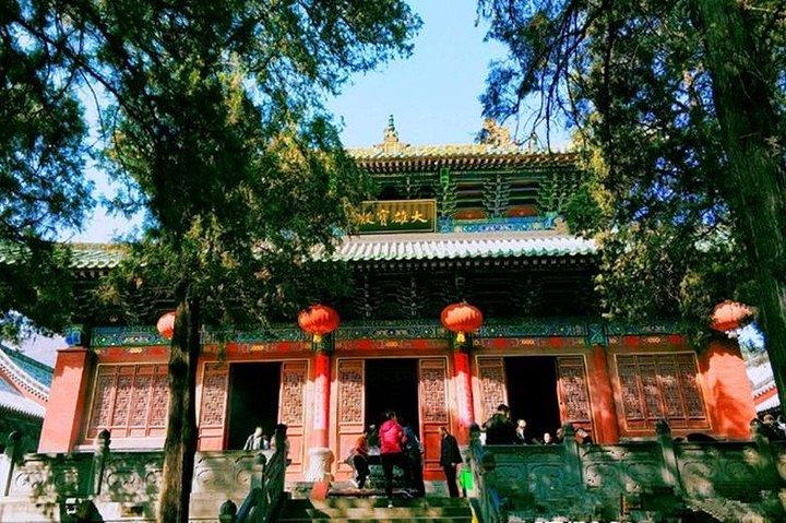 Private Day Tour Longmen Grottoes and Shaolin Temple 