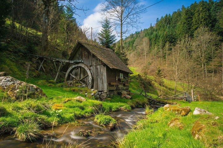 Culture and Traditions Hike through the Black Forest with a Local