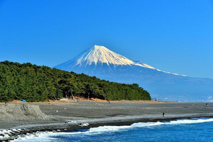 Shizuoka/Shimizu Mt Fuji View 6 hr Private Tour: Guide Only