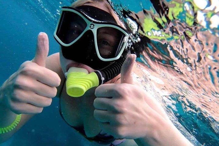 Hol Chan Full-Day Bucket List Snorkeling and Marine Life Tour