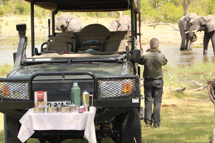 14 Days Mobile Camping Safari:Maun, Central Kalahari -Moremi Game Reserve- Chobe