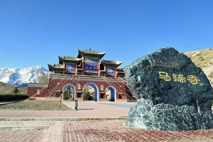 Private day tour to Zhangye Mati temple & Giant Buddha Temple start from Zhangye