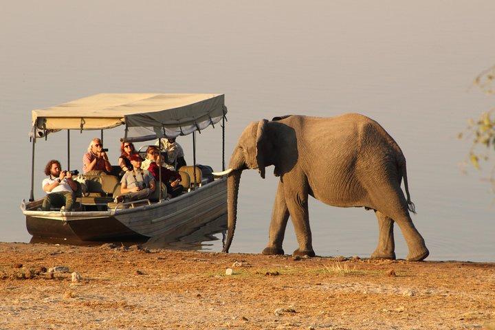 Chobe Full day Safari: Game Drive & Boat Safari with Lunch