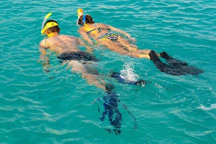 Snorkeling at Mnemba Atoll