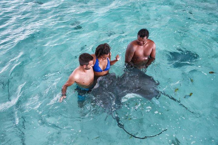 Bora Bora Eco Snorkel Cruise Including Snorkeling with Sharks and Stingrays