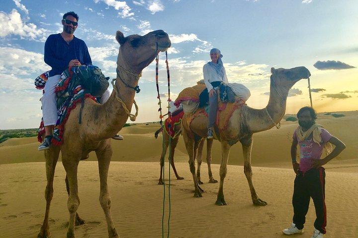 An Overnight Non-touristic Camel Safari (2PM to 11:30 AM Next Day)