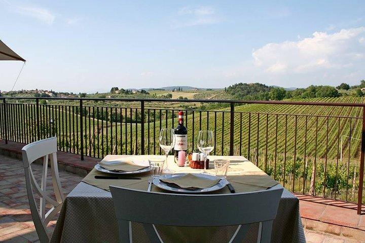 Livorno Shore Excursion: Chianti and Tuscany Countryside Private Wine Tour