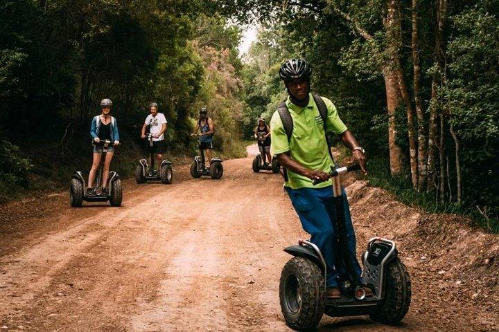 1 Hour Segway Experience