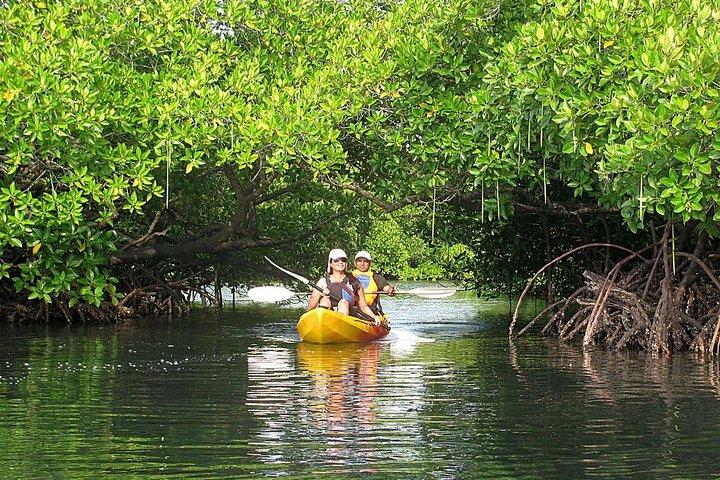 Kayaking Mangrove Adventure at Havelock
