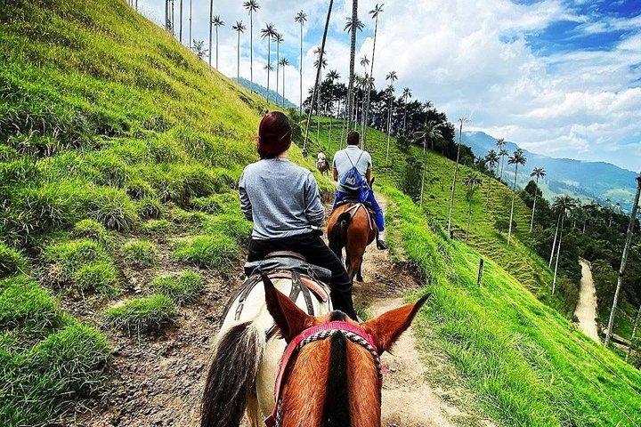 horseback riding and excursion in cocora valley