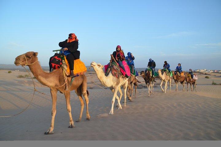 Essaouira: 1/2 Day Camel ride with meal.
