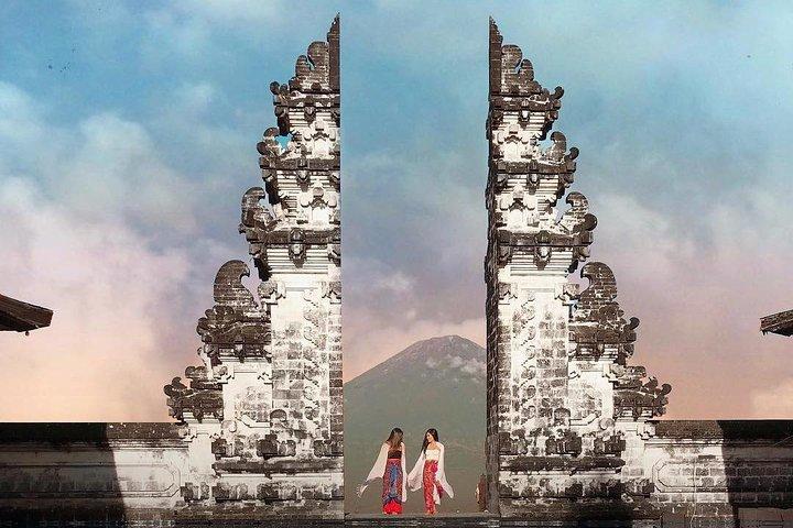 Individual Bali Day Trip with Private Driver and Free WiFi