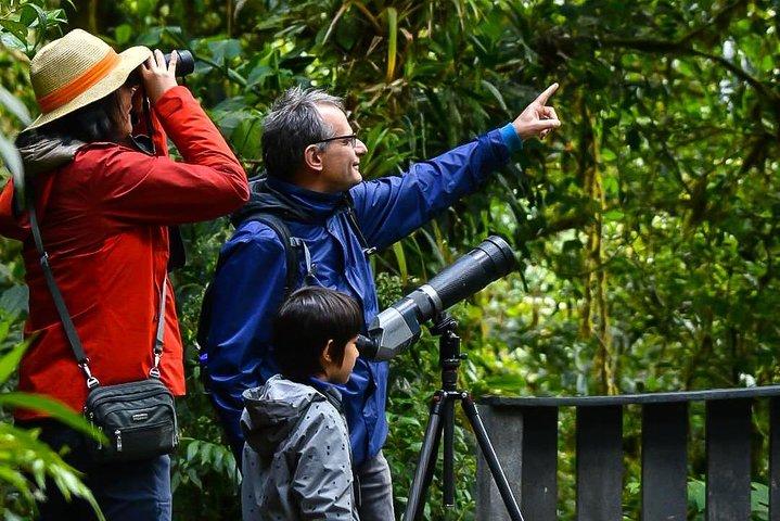 Monteverde Cloud Forest GUIDED Walk and hummingbird Sanctuary 