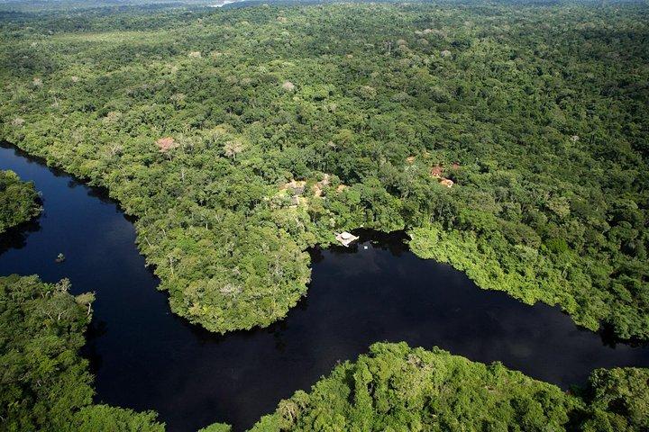 Pantanal & Amazon Holiday - Private Multi Day Tour