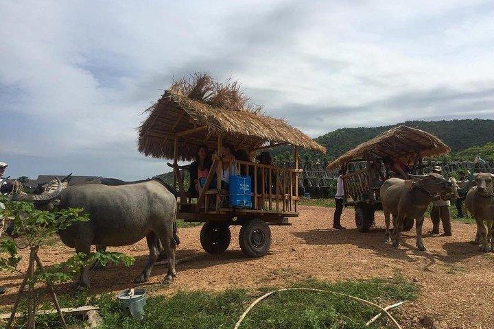 Full-Day Kampot & Kep with a local Tuk Tuk Tours 