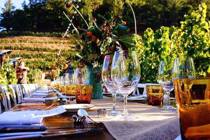 Enjoy a meal with wine tasting in the vineyard of Podere Casanova