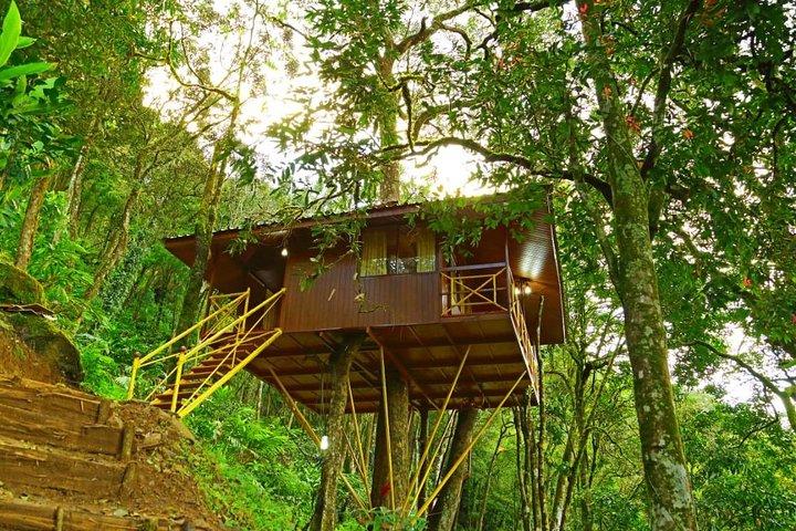 Best Tour to Kerala