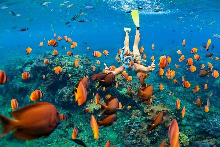 Blue Lagoon Snorkeling - Jungle Swing - Ubud - All Inclusive