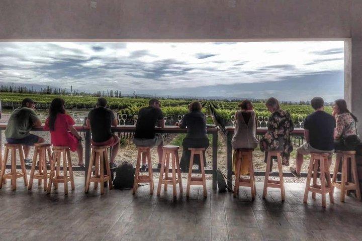 All Day, Small Group, Luxury Wine Tour with Gourmet Lunch